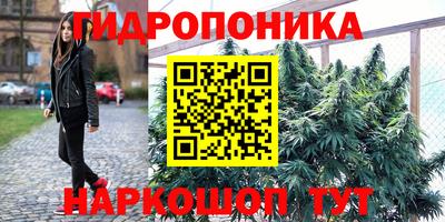 СК Кулебаки