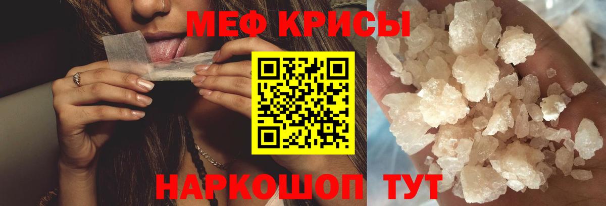 МЕФ Выборг
