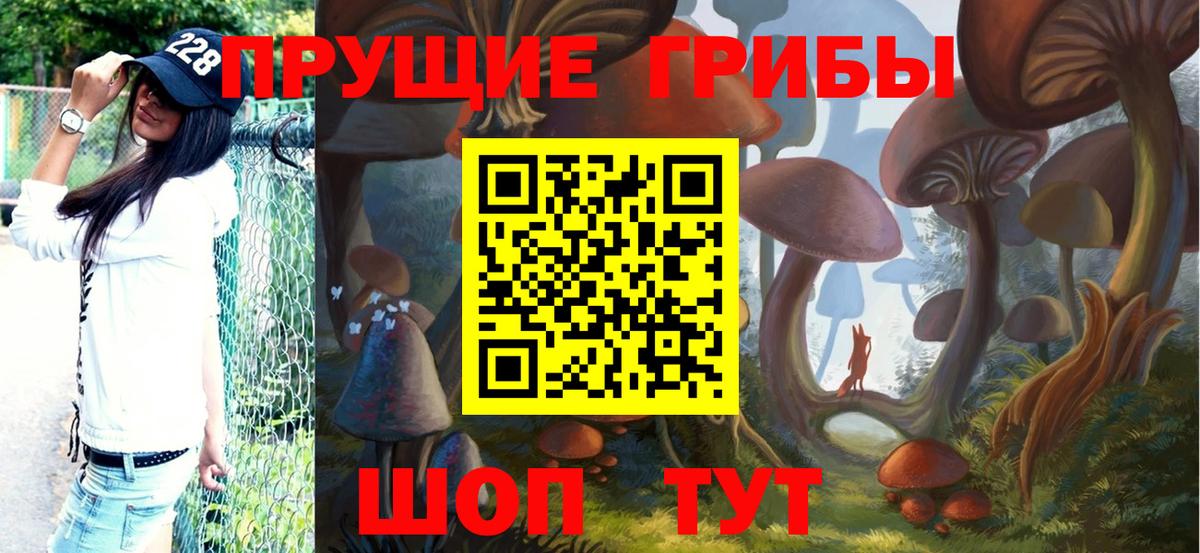 Галлюциногенные грибы Psilocybe Выборг